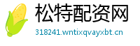 松特配资网